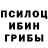 Псилоцибиновые грибы прущие грибы Miha Subotenko