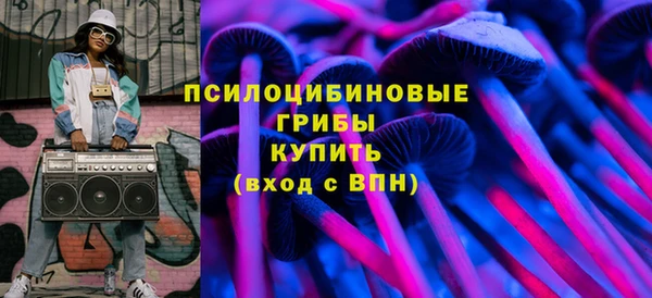 твердый Алексеевка