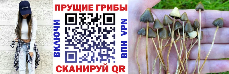 нарко площадка формула  MEGA ССЫЛКА  Псилоцибиновые грибы Cubensis  Туапсе  где найти наркотики 
